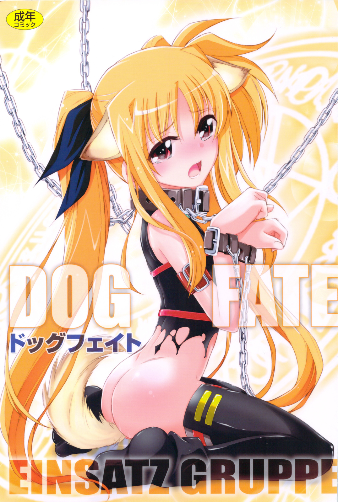 (C83) [EINSATZ GRUPPE (Charlie Nishinaka)] DOG FATE (Mahou Shoujo Lyrical Nanoha) page 1 full