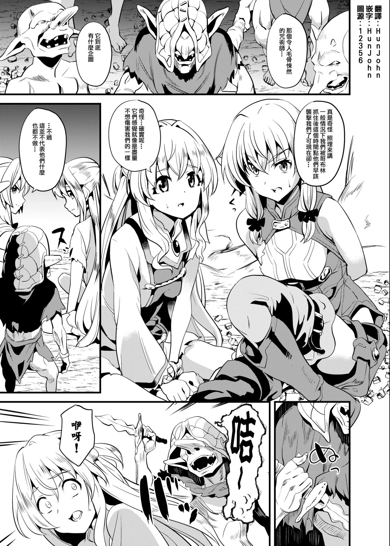 (C95) [Senpenbankashiki (DATE)] Goblin Possession (Goblin Slayer) [Chinese] [HunJohn翻譯] page 2 full