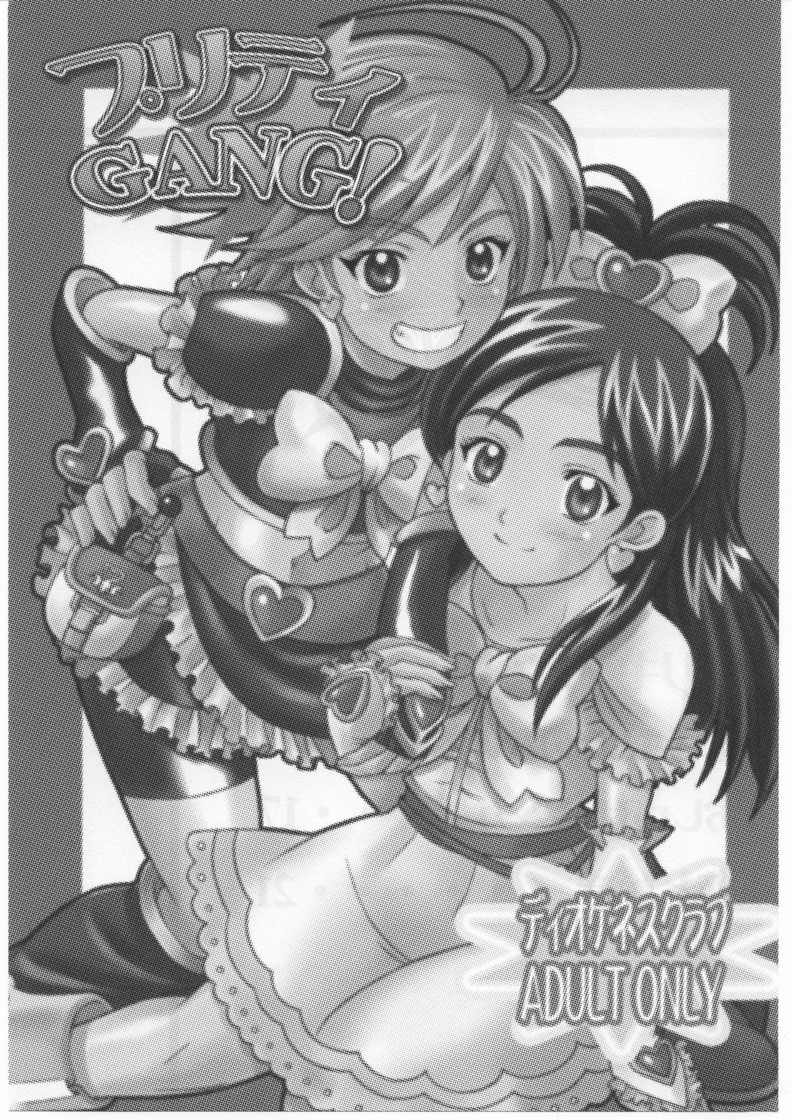 (C68) [DIOGENES CLUB (Haikawa Hemlen)] PRETTY GANG! (Futari wa Precure) page 2 full