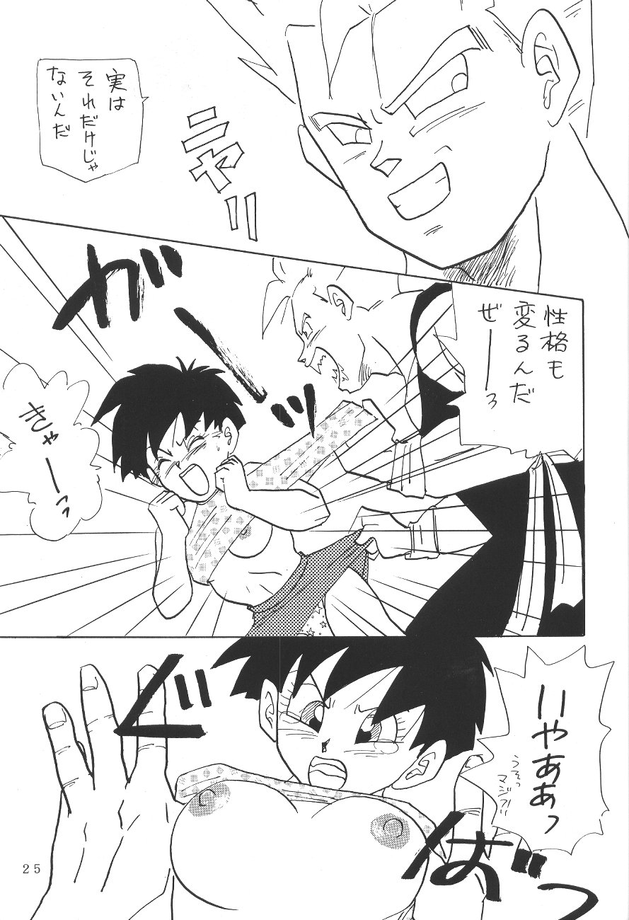 (C45) [Chirigami Goya, Fusuma go Ten (Shoji Hariko)] XXX (DRAGON BALL) page 24 full