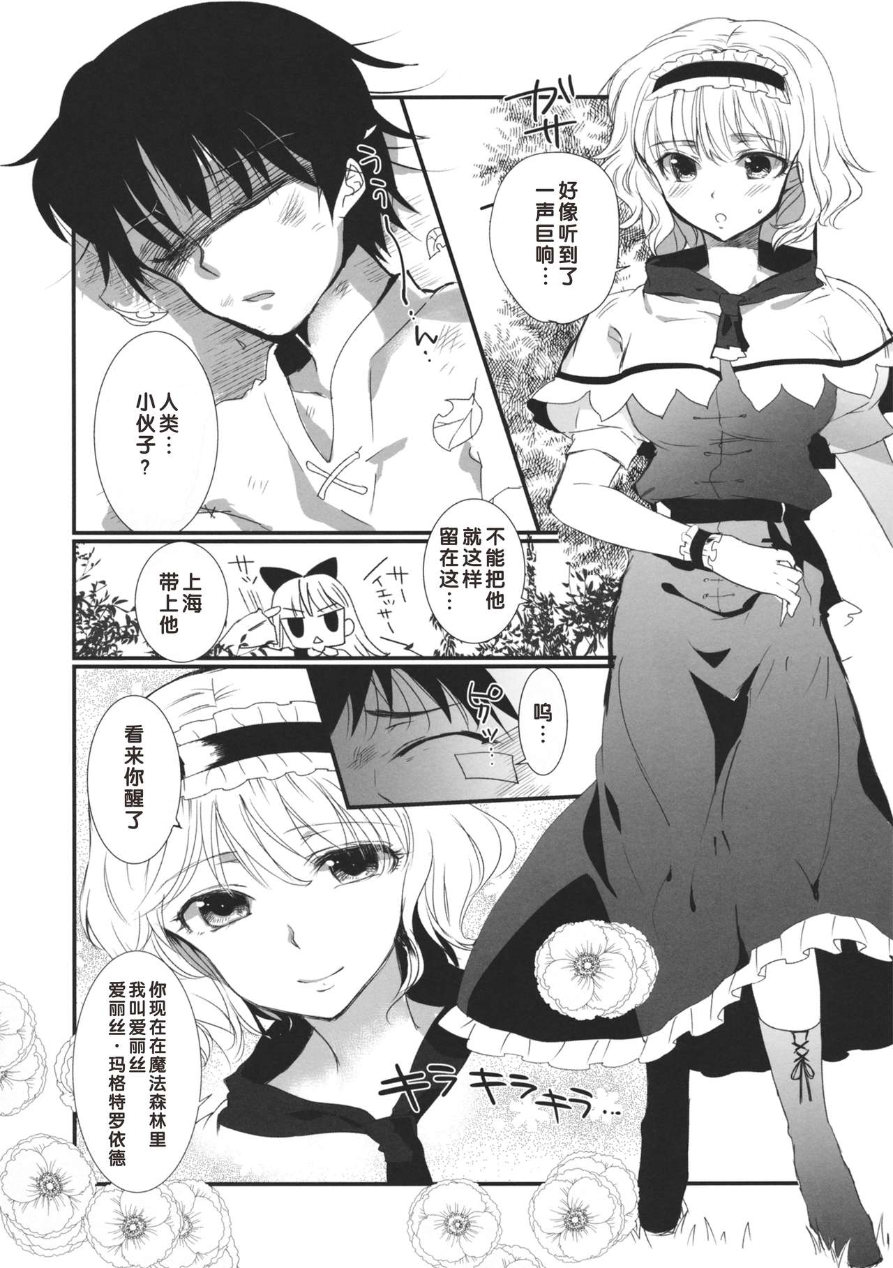 (C85) [Uminari (Narumi)] Inran Alice (Touhou Project) [Chinese] [好想玩梗汉化组] page 3 full