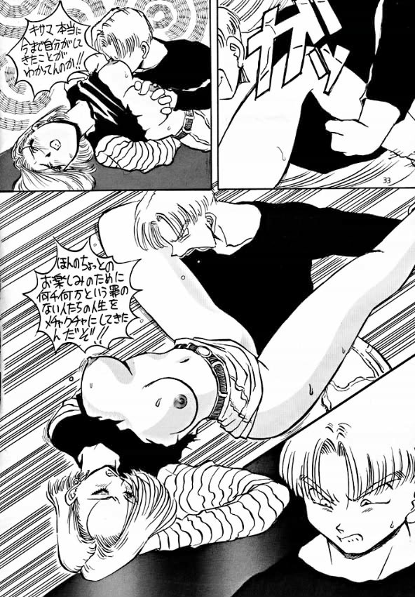 [Oiwaidou] PREY OF BIRD (Dragon Ball) page 35 full