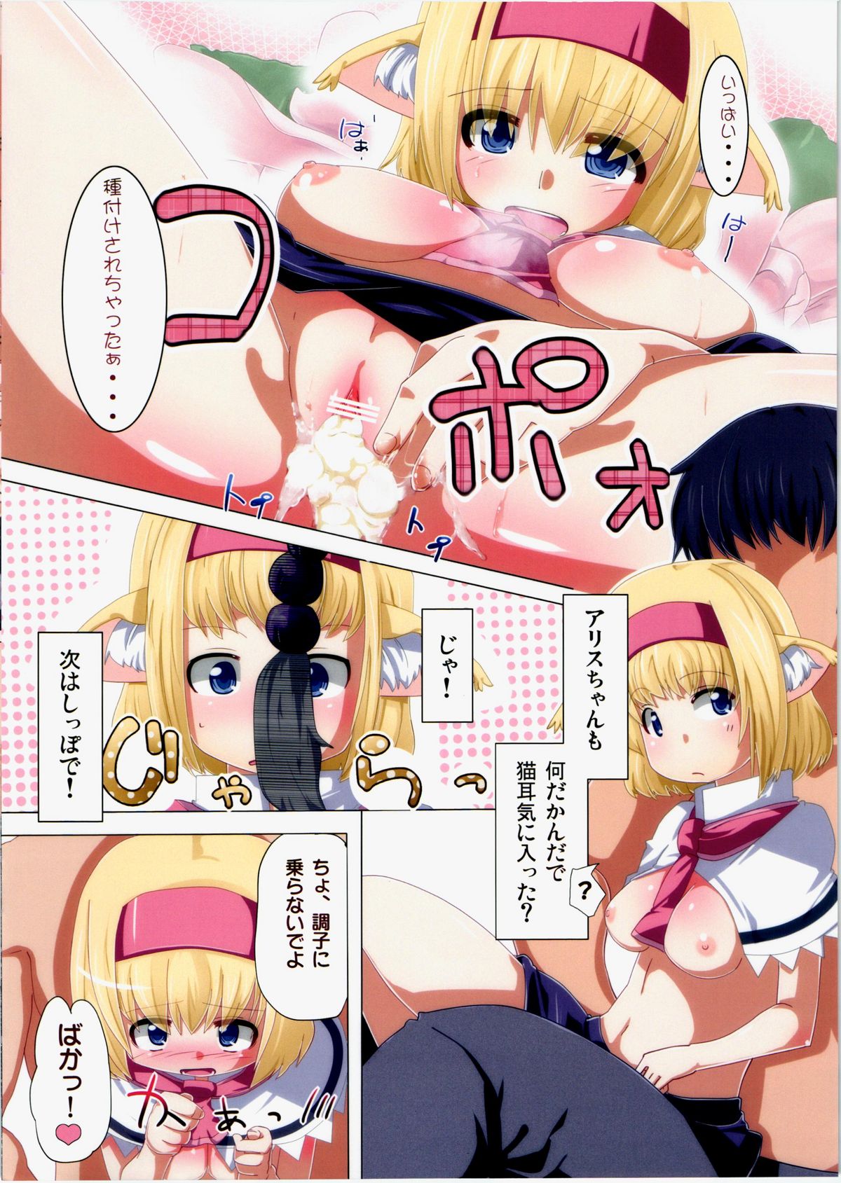 (C80) [AliceCreation (Ruku)] Nyan Nyan Neko Alice (Touhou Project) page 12 full