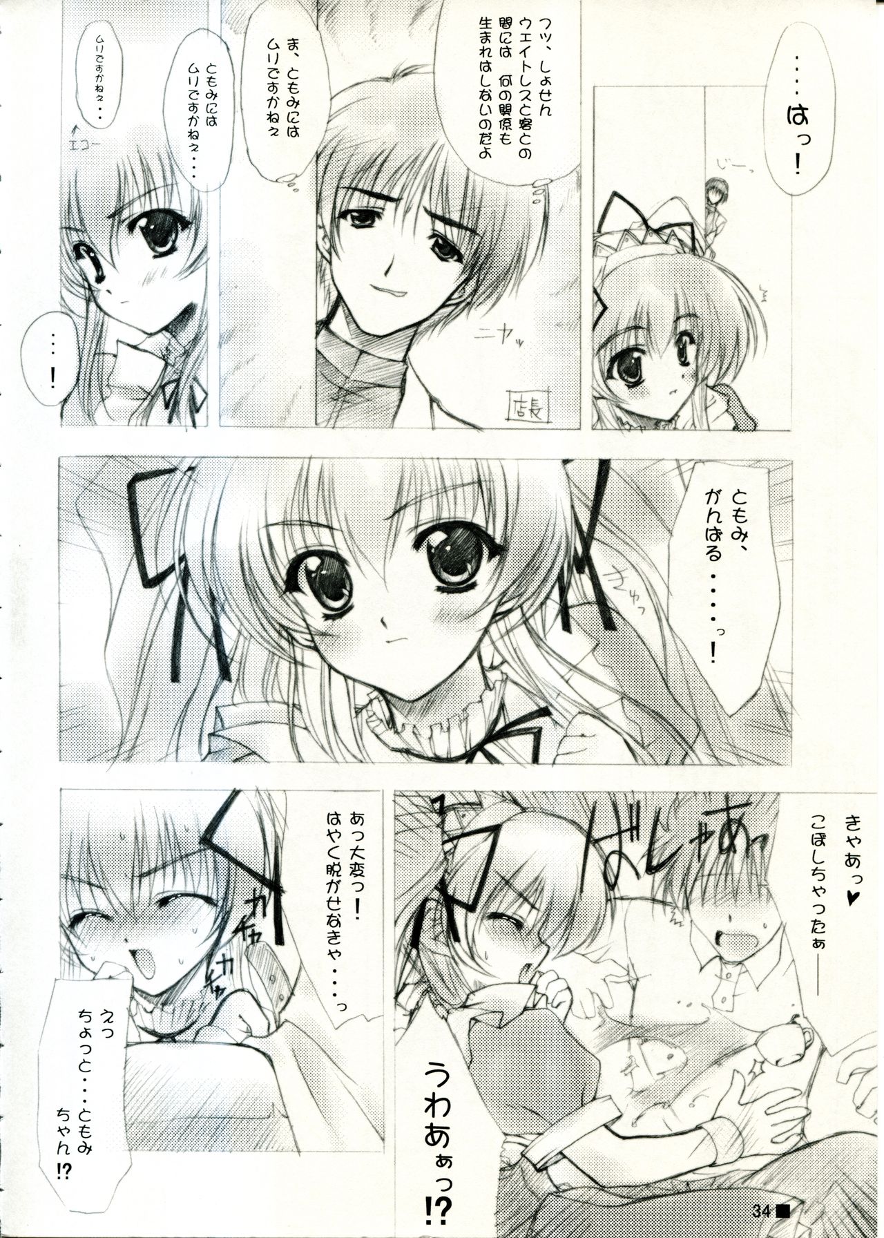 (C58) [ZiP (Moekibara Fumitake)] TINY MAGIC (Shining Sword Romance) page 34 full