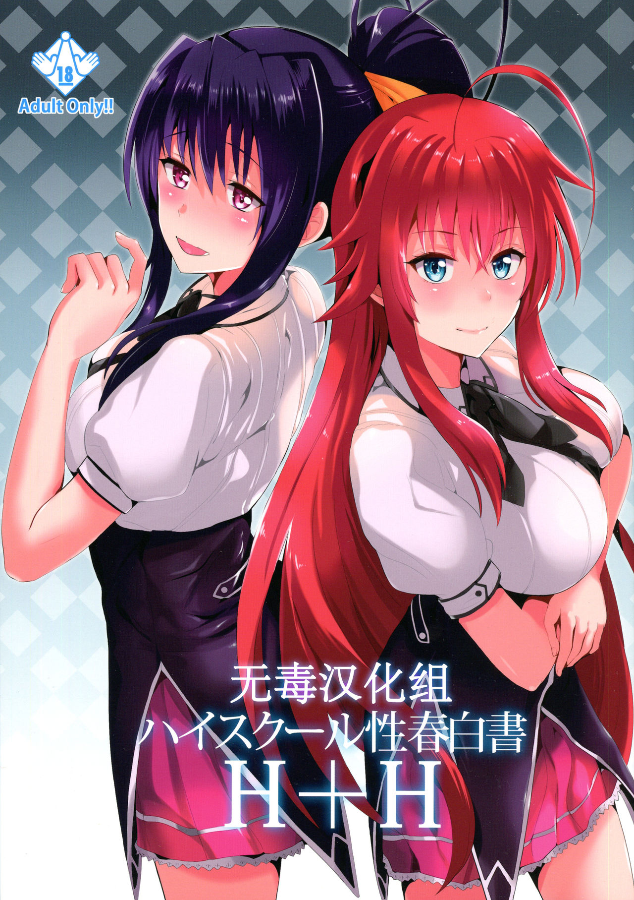 (C88) [Shijou Misaki (Satou Souji)] Highschool Seishun Hakusho H+H | Highschool of Spring White Paper H+H (Highschool DxD) [chinese][无毒汉化组] page 1 full