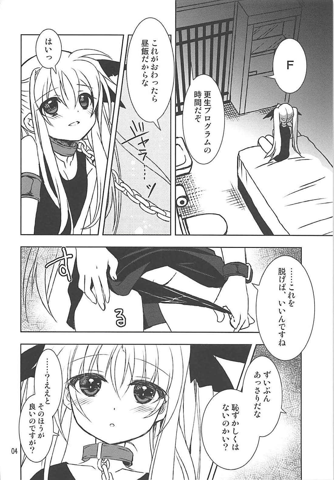 (COMIC1☆13) [PLUM (Kanna)] Mahou Shoujo Magical SEED Cadere (Mahou Shoujo Lyrical Nanoha) page 3 full