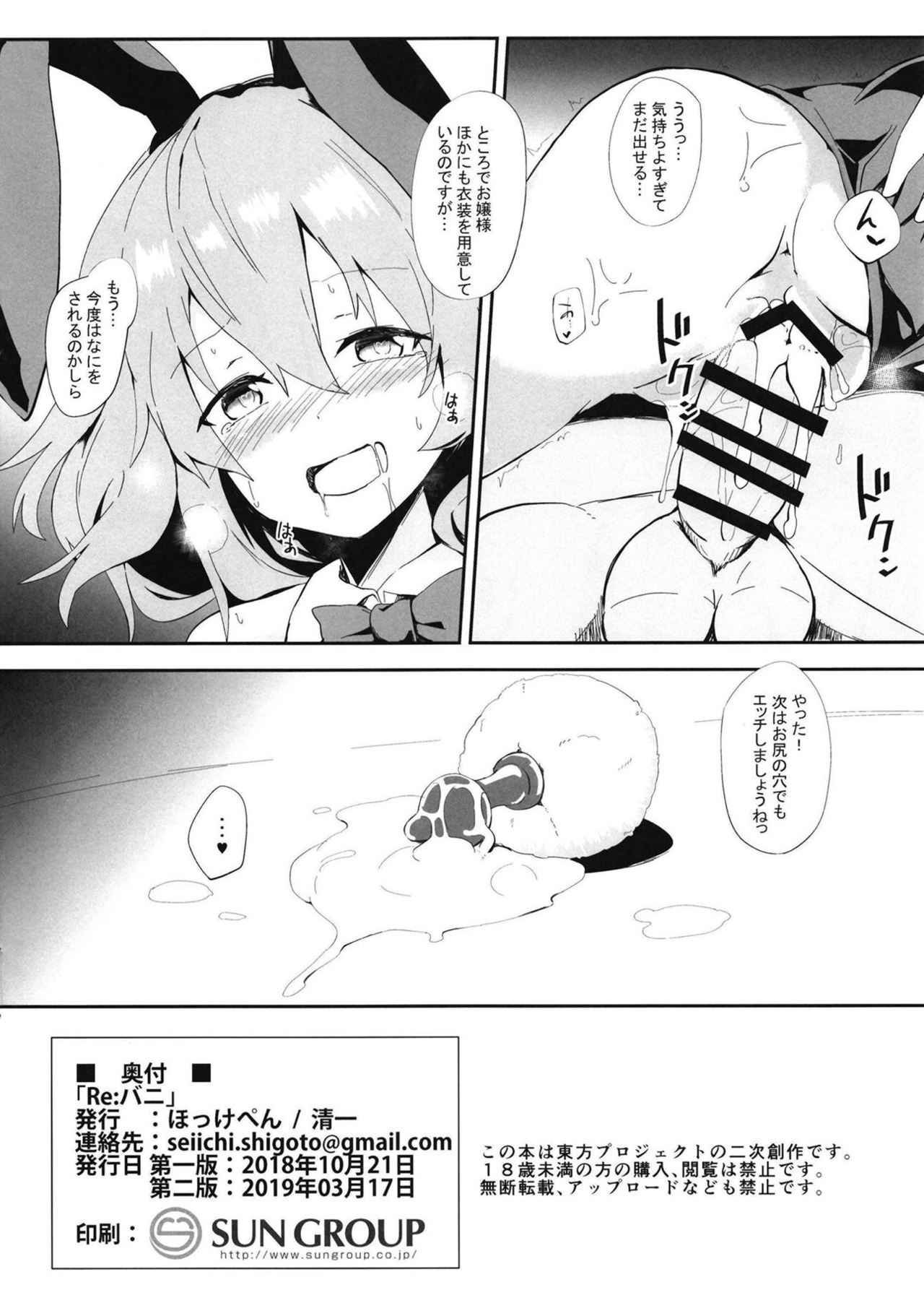 (Meikasai 13) [Hokkepen (Seiichi)] Re:Bunny (Touhou Project) page 9 full