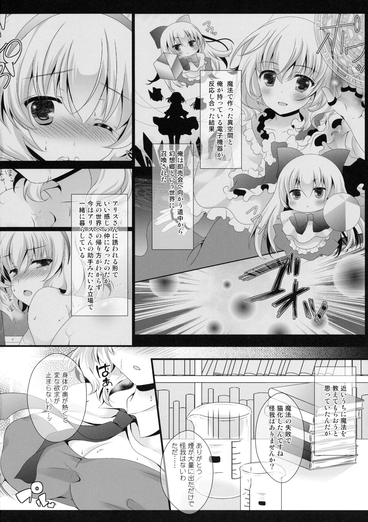 (Kouroumu 12) [Setoran (Itou Seto, Tanno Ran)] Alice World Omorashi Nyanko (Touhou Project) page 5 full