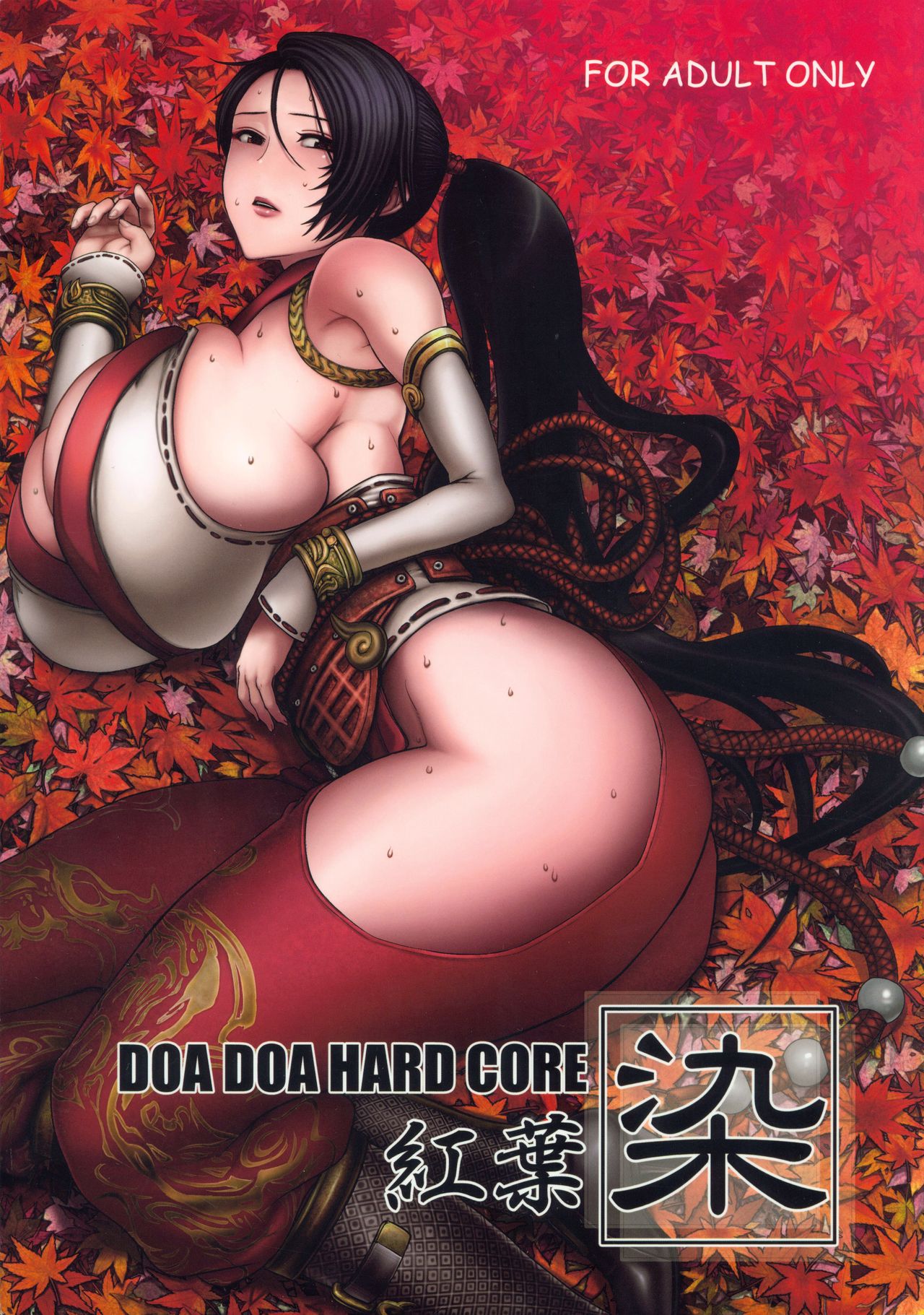 [Marumaru Arumajiro (Majirou)] DOA DOA HARD CORE Momijizome (Dead or Alive) page 1 full