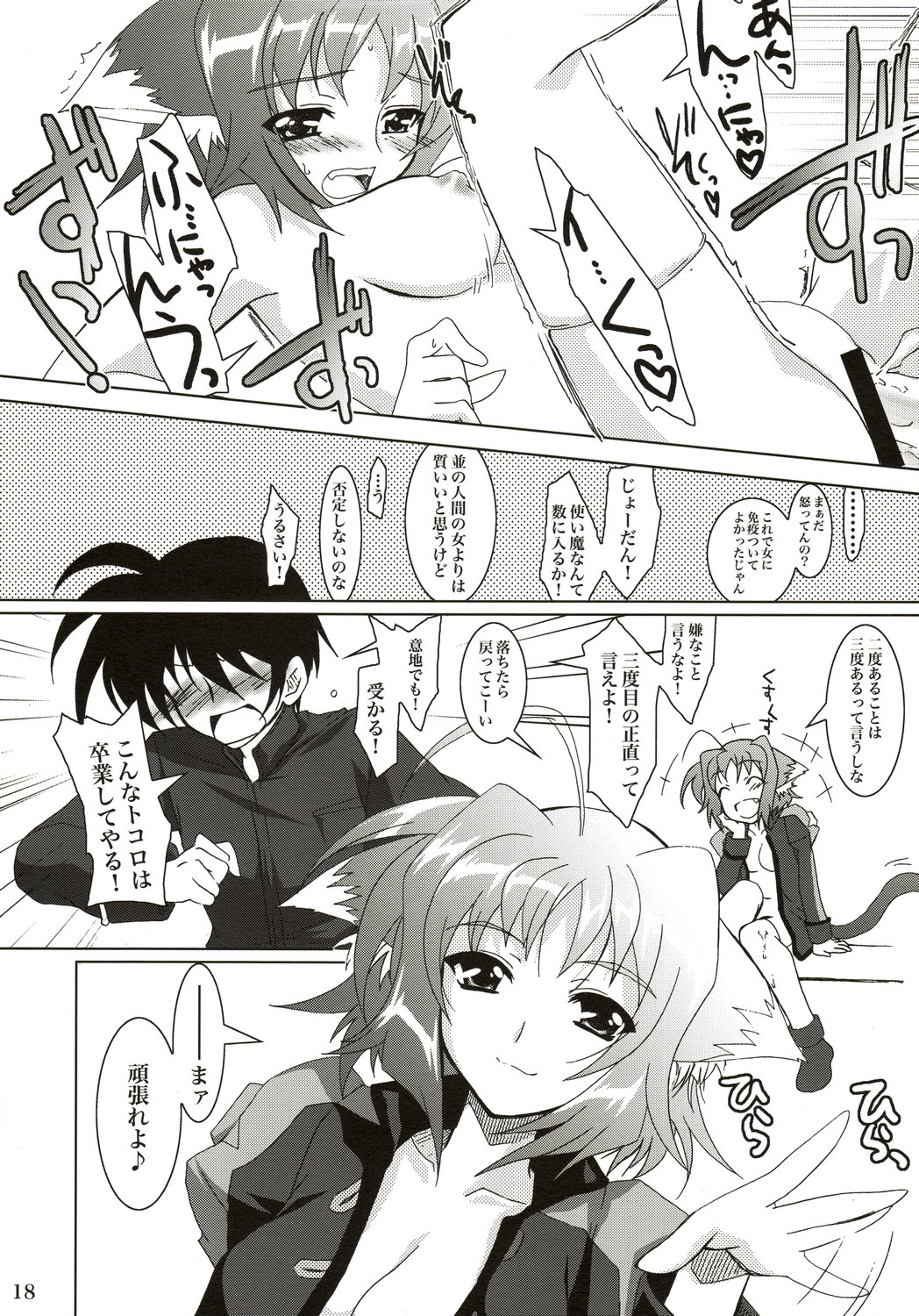 (ComiComi11) [PLUM (Kanna)] Mahou Shoujo Magical SEED DESTINY (Mahou Shoujo Lyrical Nanoha) page 17 full