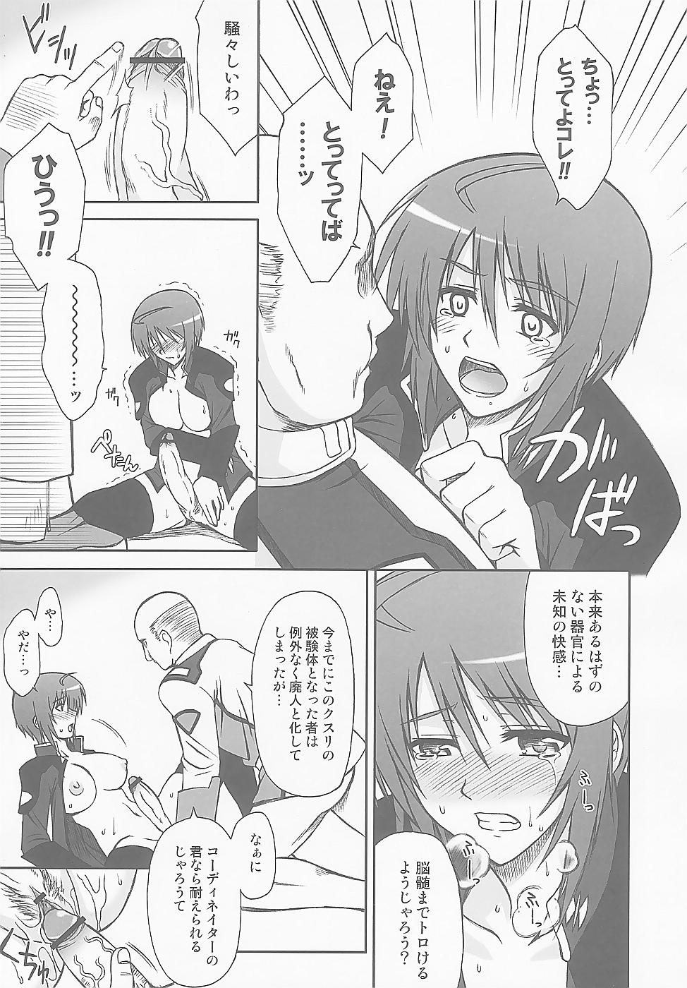 (C67) [Type-G (Ishigaki Takashi)] LUNA:C (Gundam SEED Destiny) page 19 full