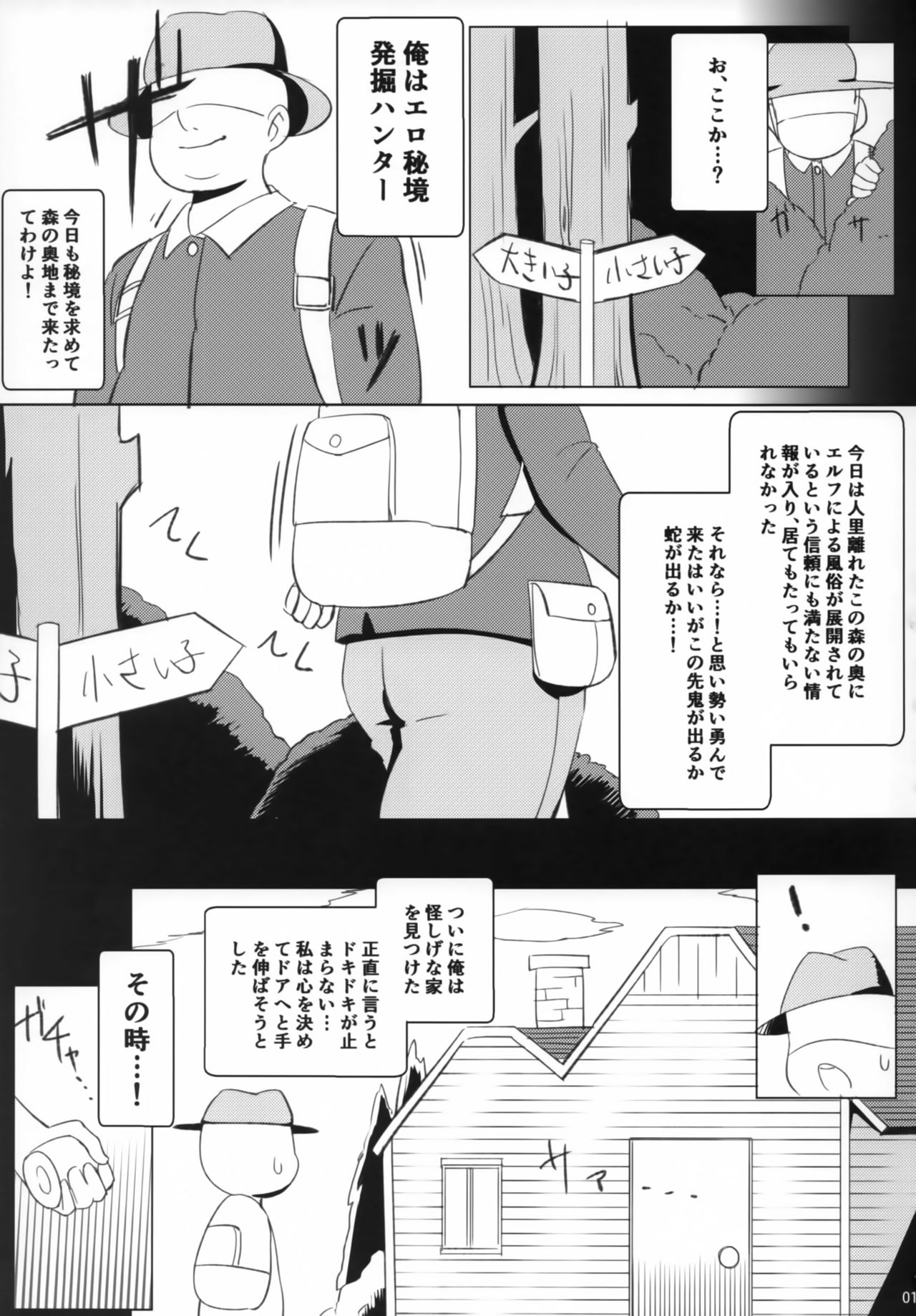 (C92) [KOTORIBIDOU (koto)] Elfuuzoku Taikenki page 2 full