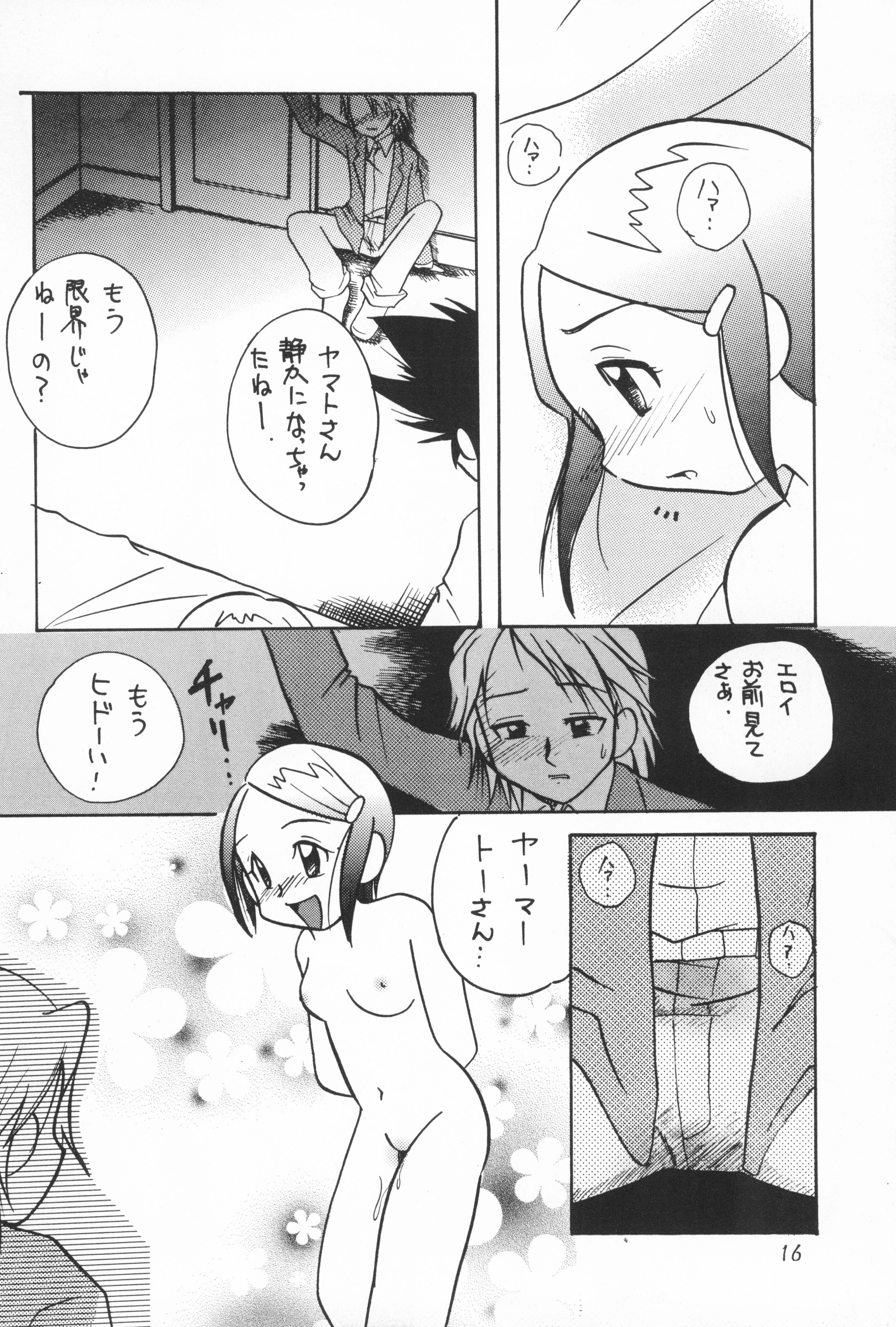 (C61) [Bikkuri Gyouten (Umino Dozaemon)] Crazy Love 2 (Digimon Adventure 02) page 18 full