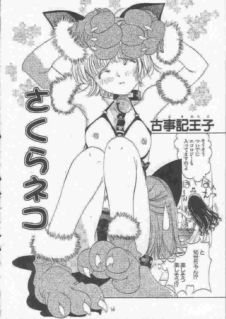 [MAGNA-BROSS (Kojiki Ouji)] Sakura Chiru (Card Captor Sakura) page 15 full