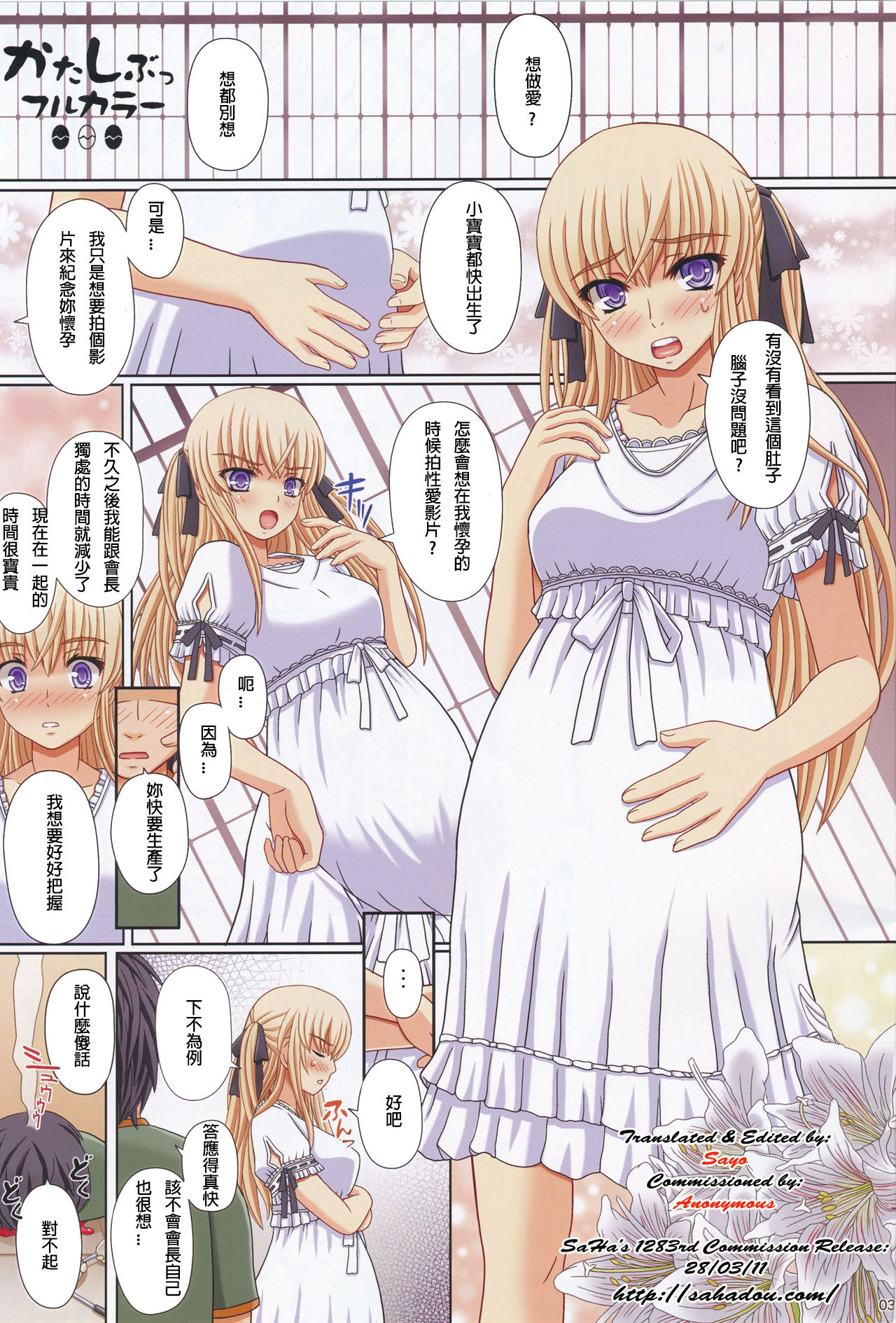 (C79) [Shiawase Kyouwakoku (Shiawase no Katachi)] Katashibu Full Color 35-shuu [chinese] [璃頭個人翻譯] page 4 full
