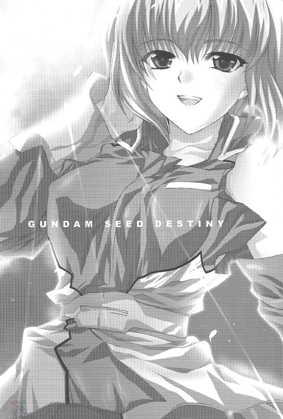 [FANTASY WIND] L-S (Kidou Senshi Gundam Seed Destiny) [English] page 2 full