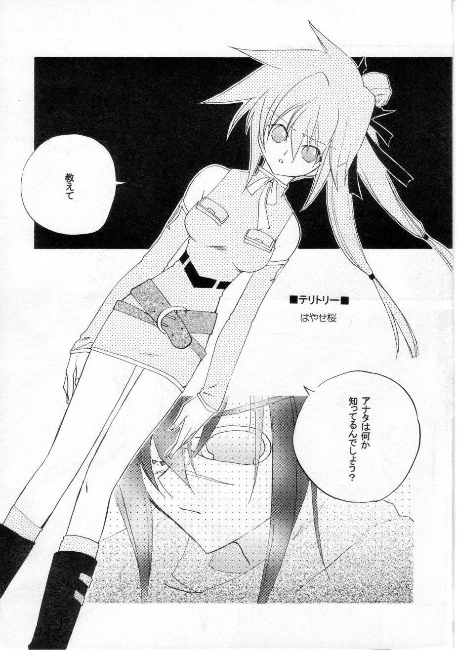 (C61) [Toluene Ittokan (Various)] KETSU! MEGATON FFU (Final Fantasy Unlimited) page 12 full