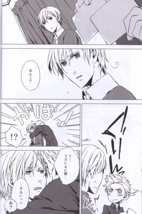 [SKEBAN (Mozuya Haruki)] Photograph (Hetalia: Axis Powers) page 9 full