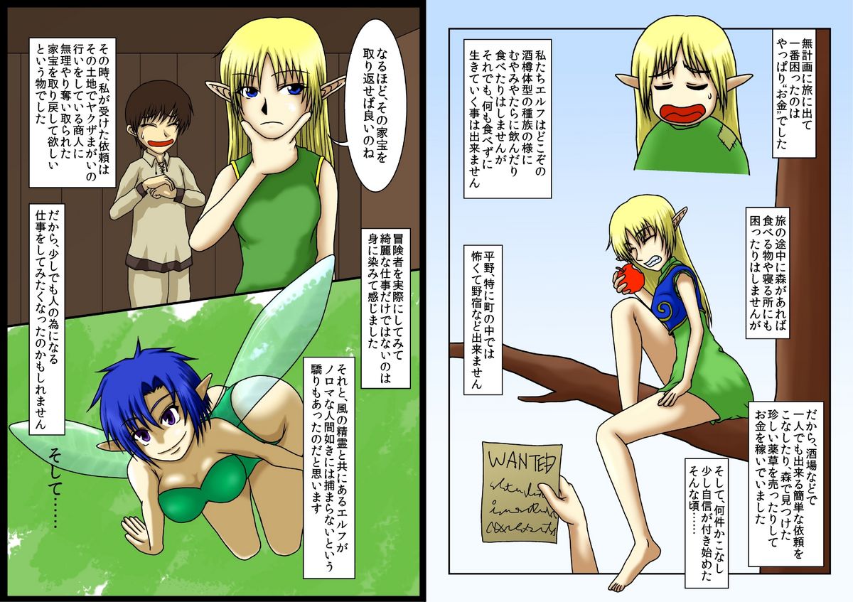 [Koshibai-ya (Koshibai)] Toaru Deedlit no Choukyou Nisshi (Record of Lodoss War) page 3 full