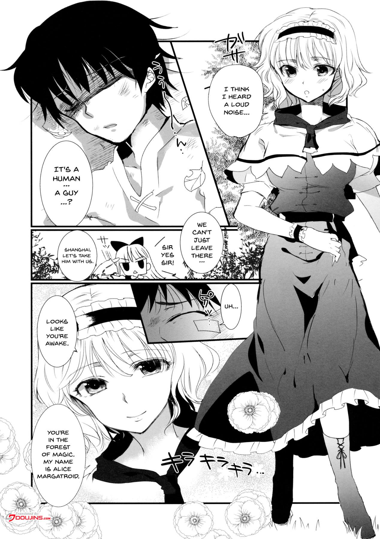 (C85) [Uminari (Narumi)] Inran Alice | Lewd Alice (Touhou Project) [English] {Doujins.com} page 3 full