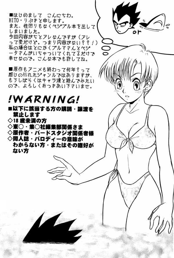 [Ryuujin-kai (HITO Ribuki)] Dangerous Beauty (DRAGON BALL Z) [English] page 4 full