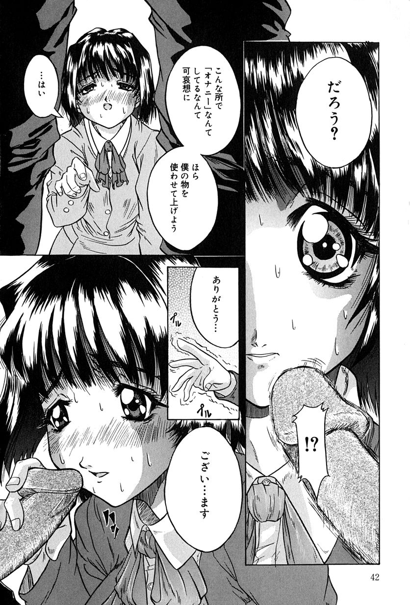 [Kirishima Shiroo] Seija no Koushin page 45 full