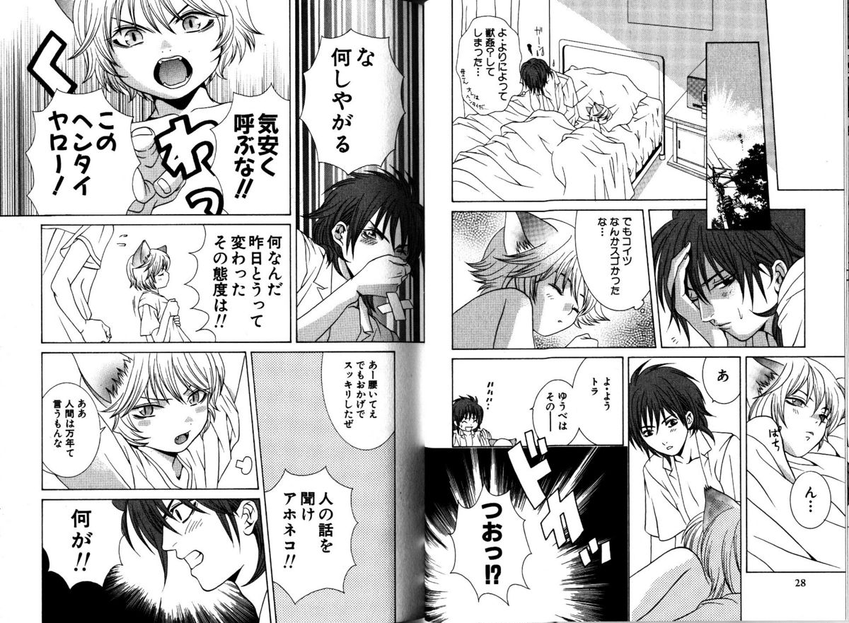 Akana Meiko - Nekokan page 17 full