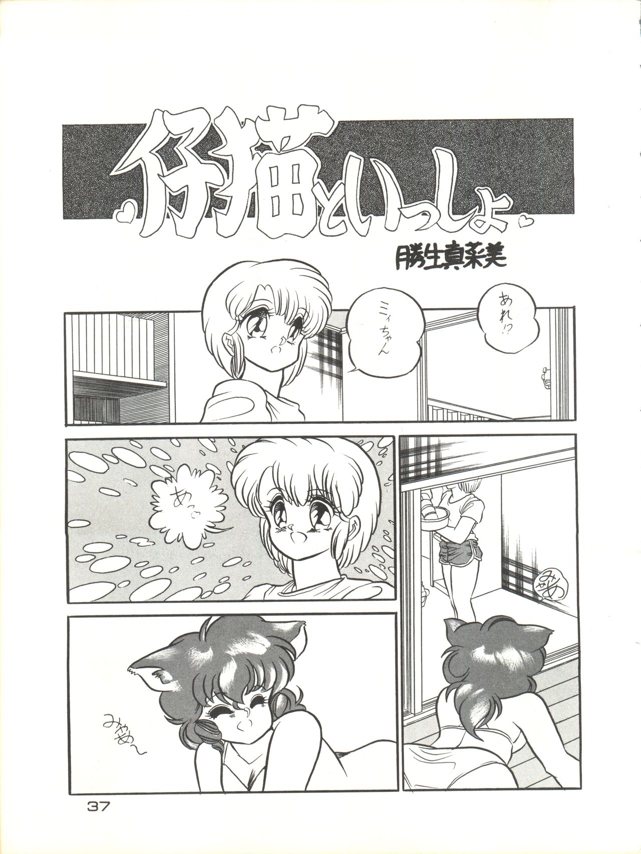 (C36) [Shishamo House (Araki Akira, Minoda Kenichi, Maki Katsuya)] Zoku Tarikihongan Tera (Sonic Soldier Borgman) page 37 full