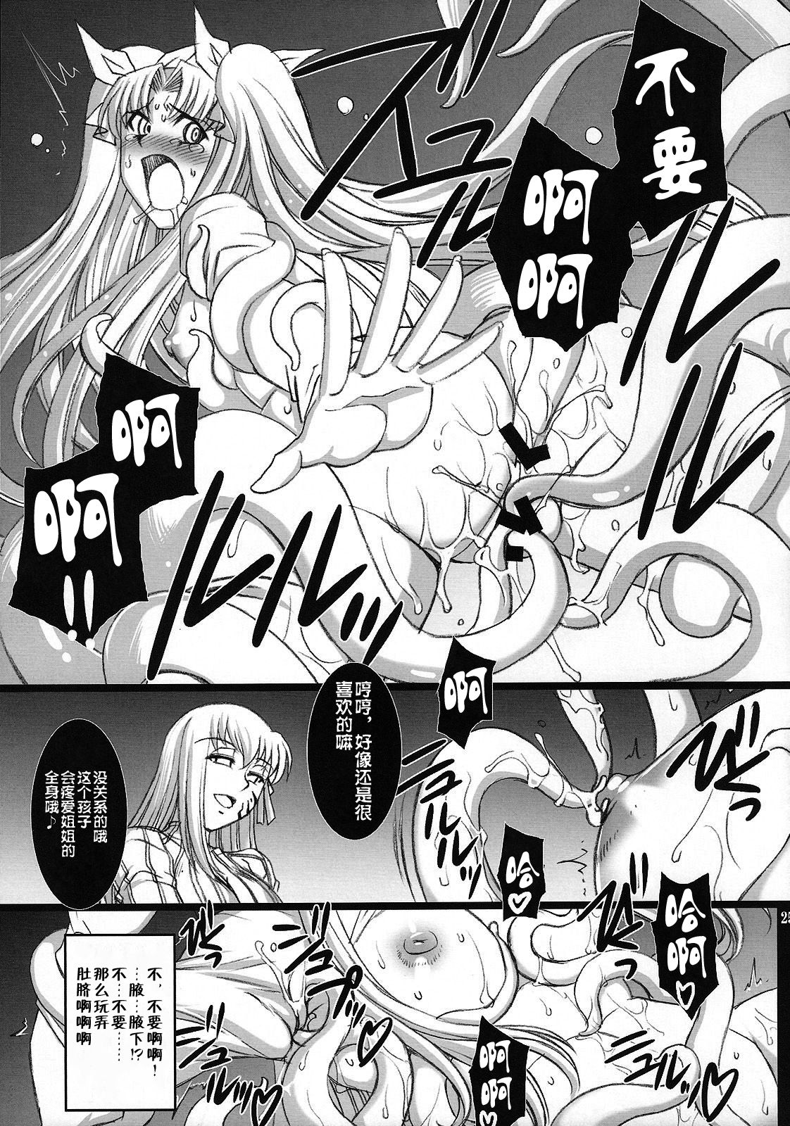 (C75) [H.B (B-RIVER)] Red Degeneration -DAY/4- (Fate/stay night) [Chinese] [不咕鸟汉化组] page 24 full