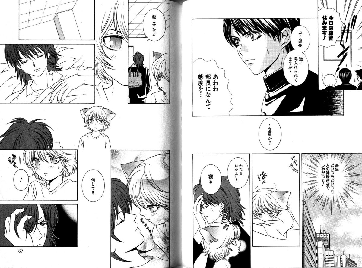 Akana Meiko - Nekokan page 36 full