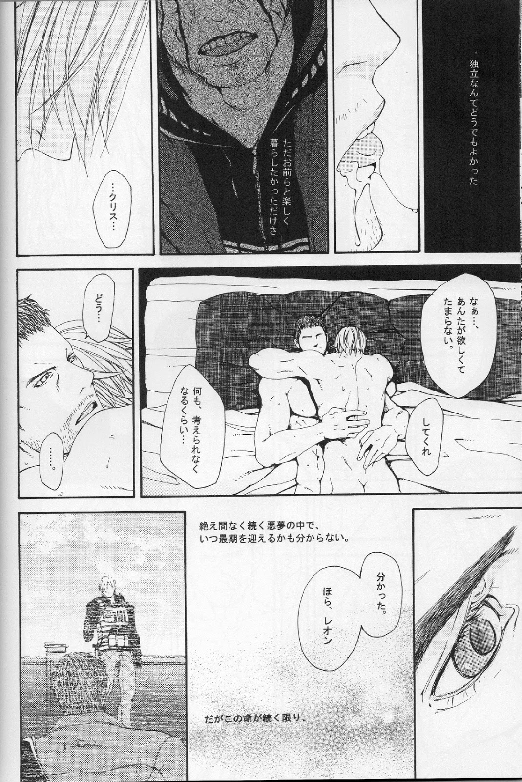 (C84) [clr, 12.5 (Akizou, Mizuki)] Answer (Resident Evil) page 27 full