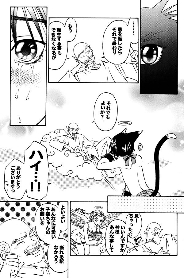 [M² Factory (CJ Michalski)] Nekomimi Shounen page 4 full