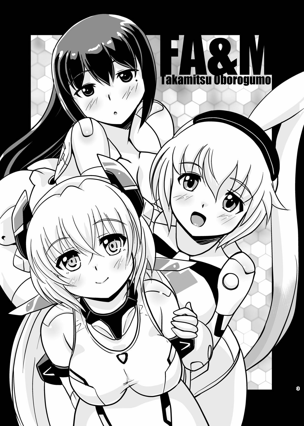 [Misuterutein (Oborogumo Takamitsu)] FA&M (Busou Shinki) [Digital] page 2 full