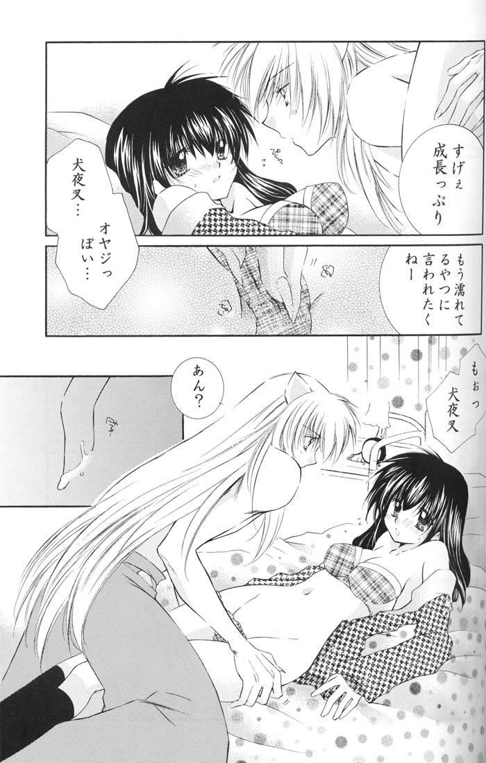 (C67) [Sakurakan (Seriou Sakura)] Lovers (InuYasha) page 32 full