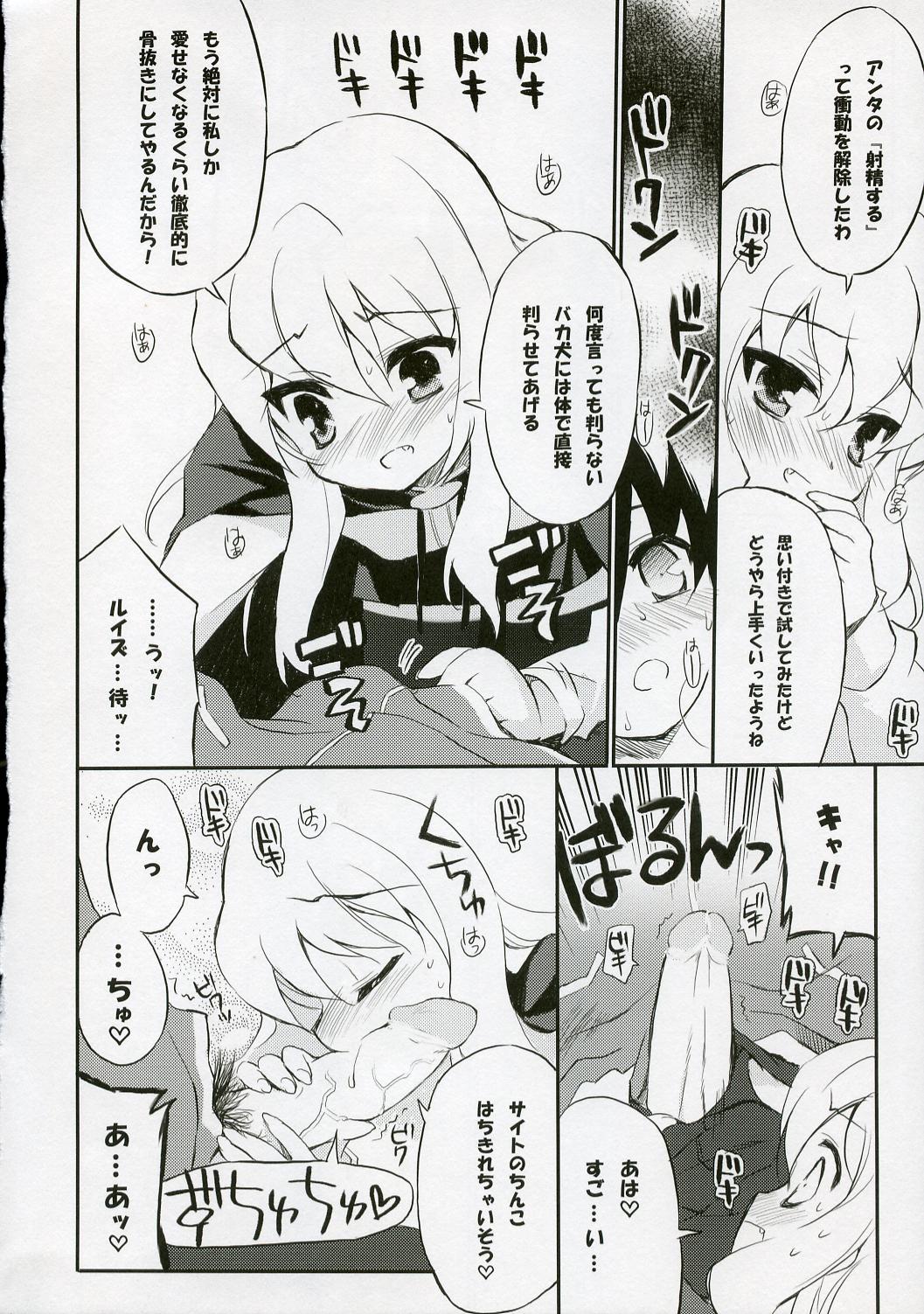 (C72) [Black Shadow (Sacchi)] BS#12 Louise to Mata Asobo - Let's Play with Louise Again (Zero no Tsukaima) page 9 full