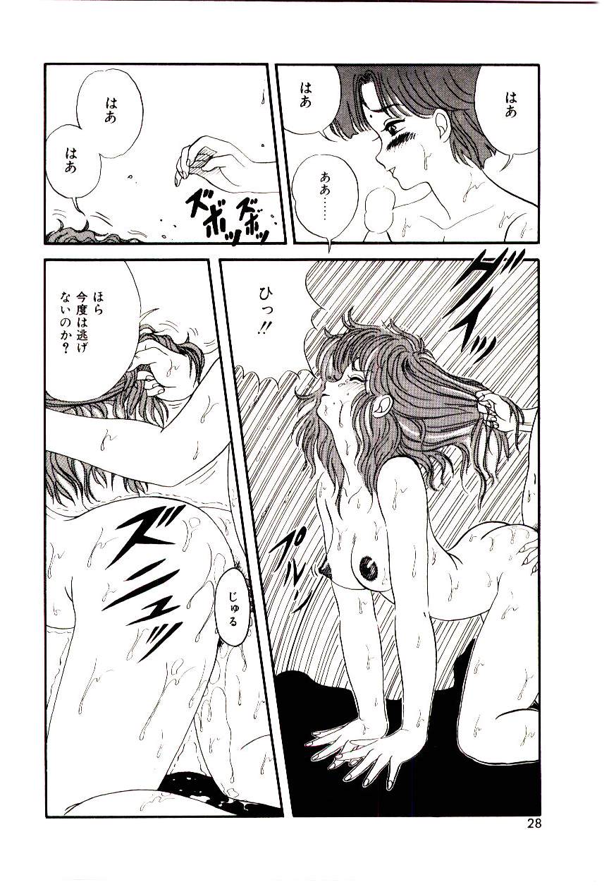 [Mibuno Kakashi] Sentimental Body page 27 full