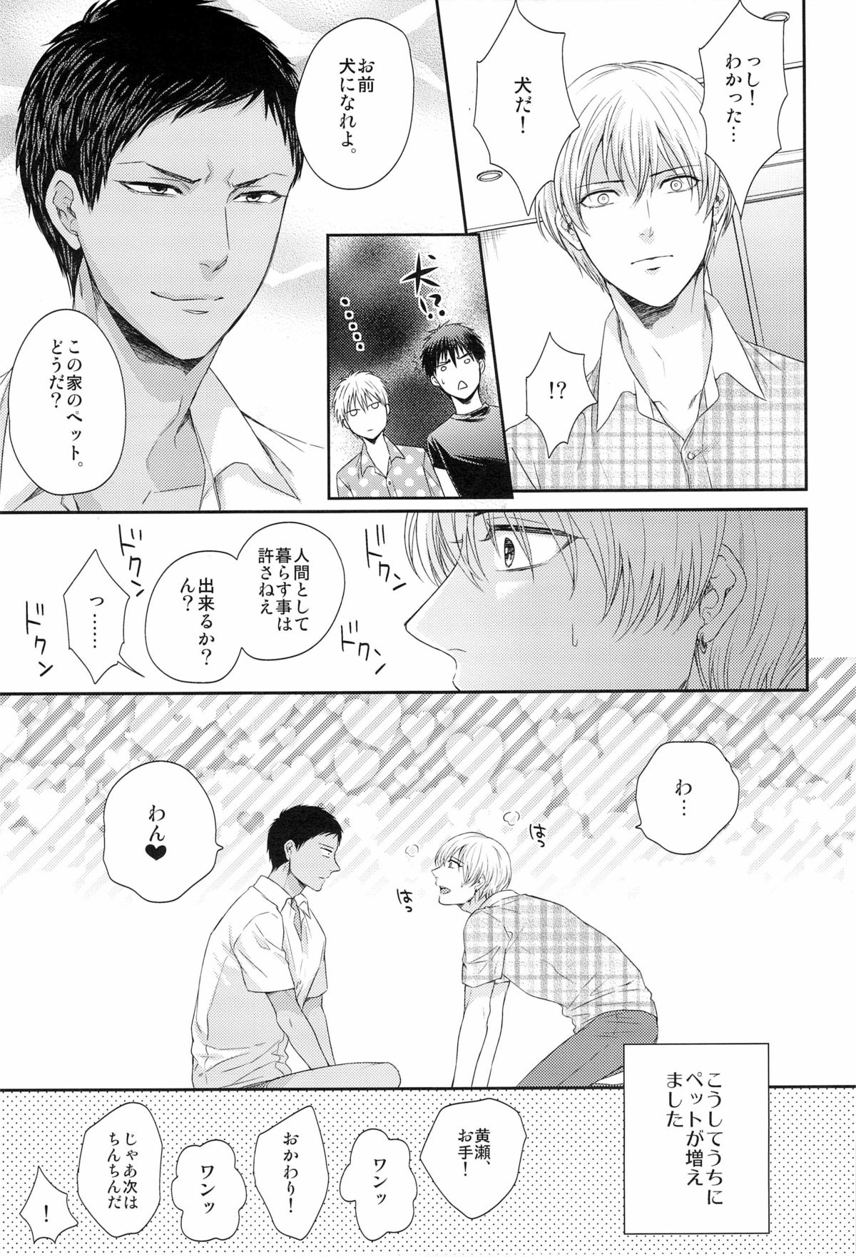 [Karaage Obuzaiya (Karaage Muchio)] Boku to Issho ni Kurashimasen ka? (Kuroko no Basuke) page 15 full