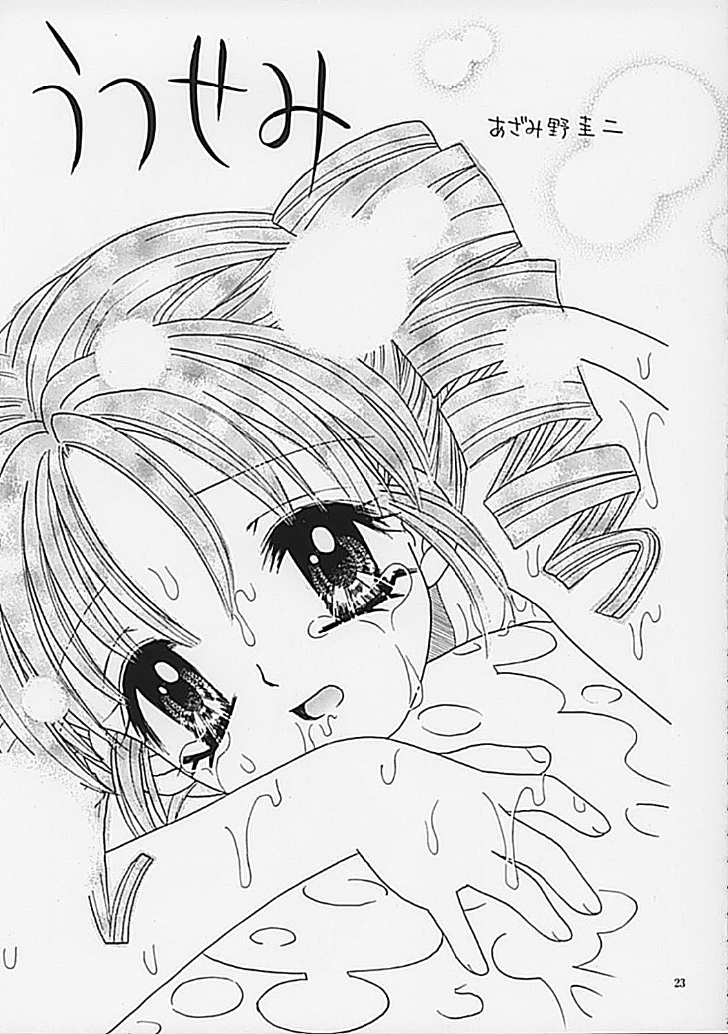 (C62) [Keiji in Cage (Azamino Keiji, Hinase Kazusa, Kageno Illyss)] Around The Secret page 23 full