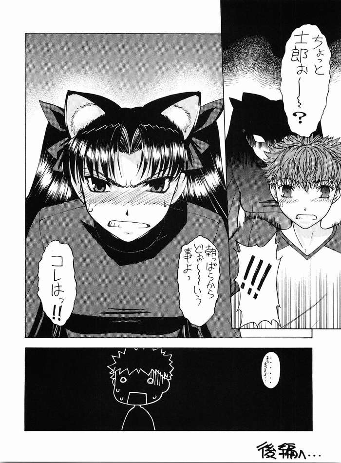 (C67) [Sanazura Doujinshi Hakkoujo (Sanazura Hiroyuki)] Nekomimi Fate (Fate/stay night) page 23 full