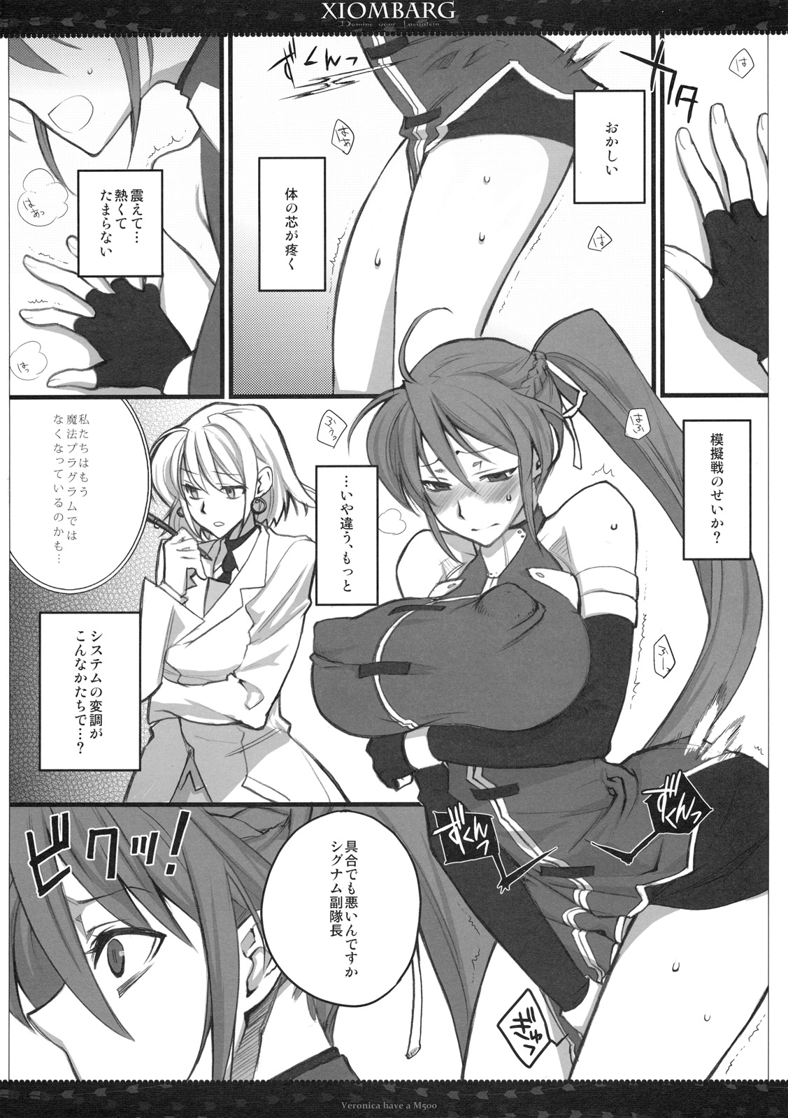 (C79) [VM500 (Kome)] Xiombarg (Mahou Shoujo Lyrical Nanoha StrikerS) page 3 full