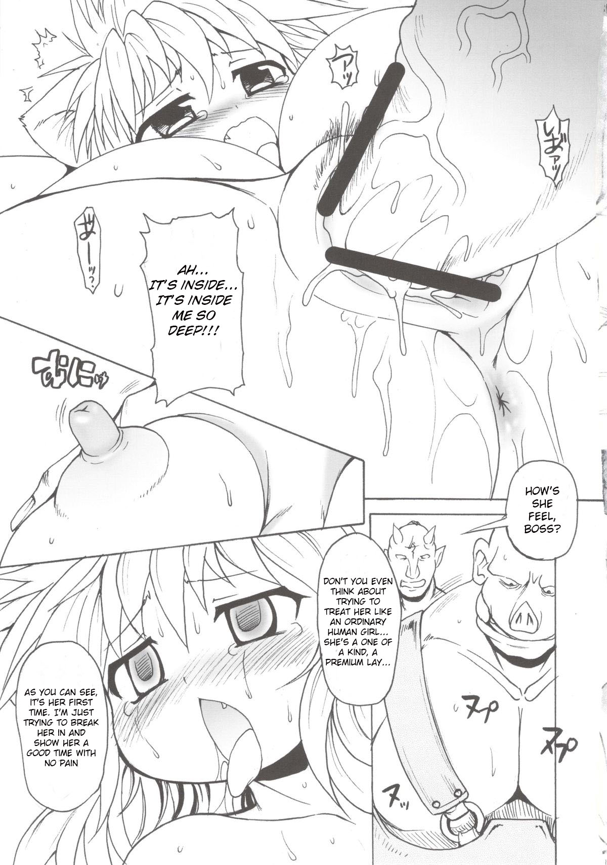 (C76) [Shimanto Seiryuu (Shimanto Youta)] Nyan Sword [English] [BSN] page 17 full