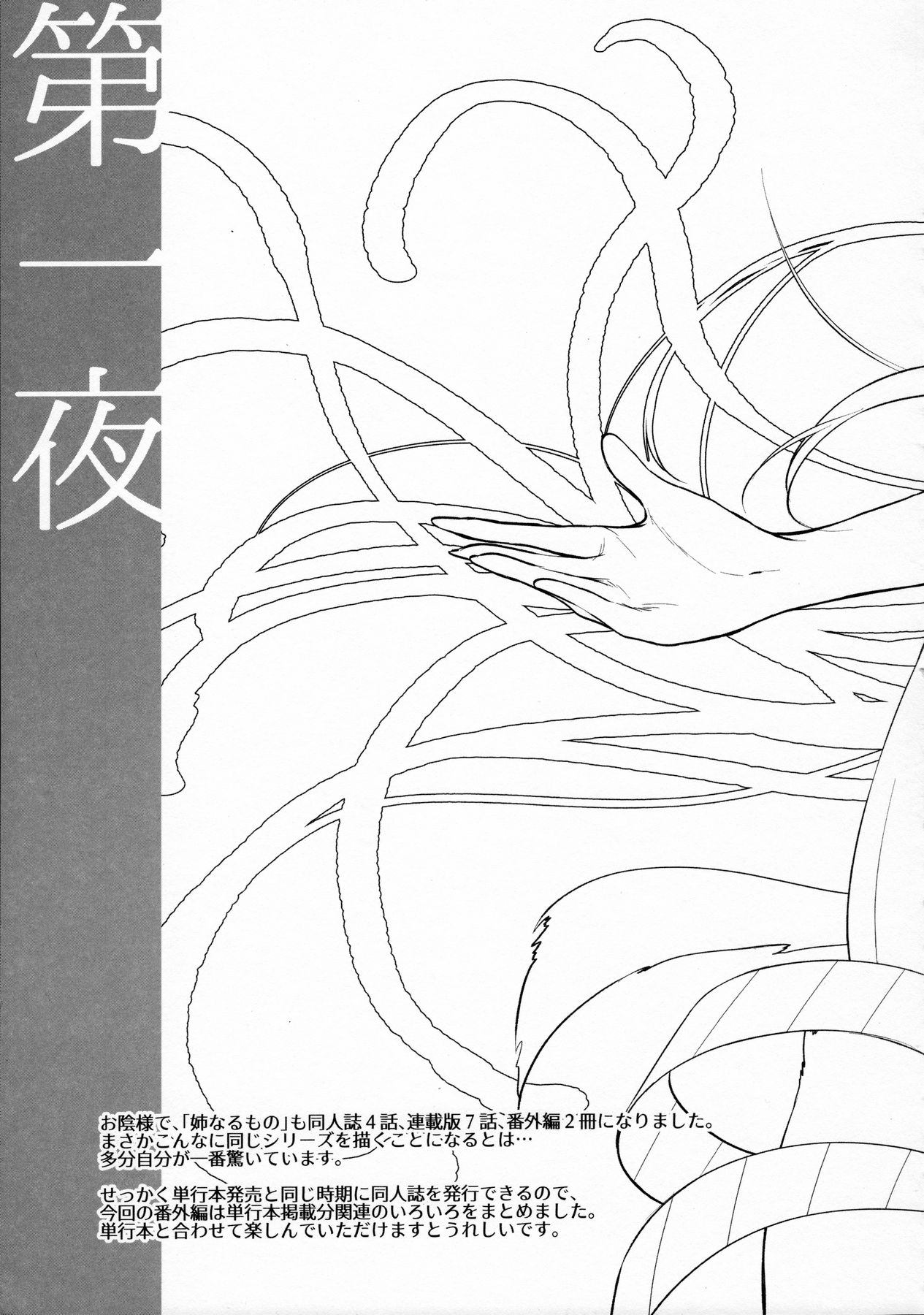 (C91) [Pochi-Goya. (Pochi.)] Ane Naru Mono 4.5 (Ane Naru Mono) page 5 full