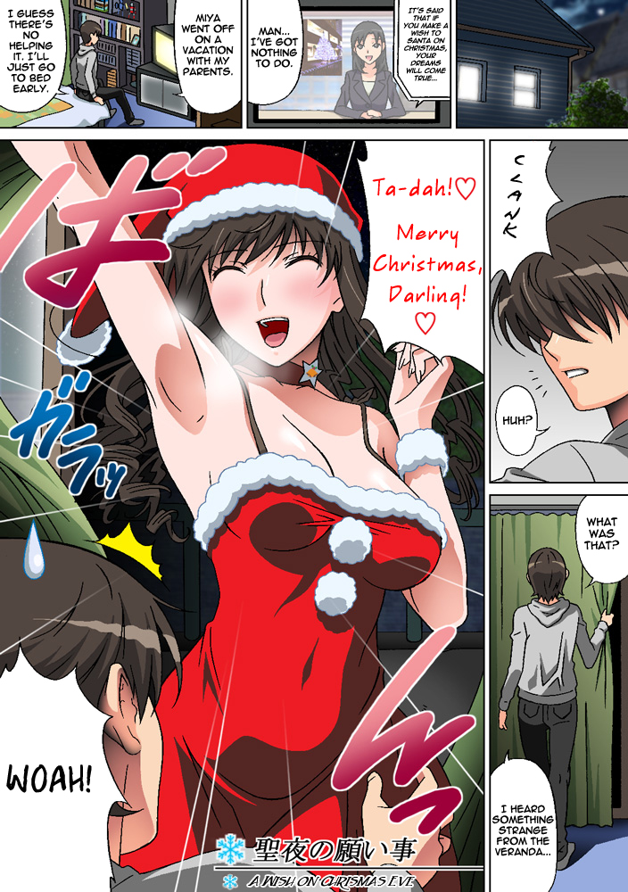 [Selene (Rudoni)] Seiya no Negaigoto | A Wish on Christmas Eve (Amagami) [English] =LWB= page 1 full