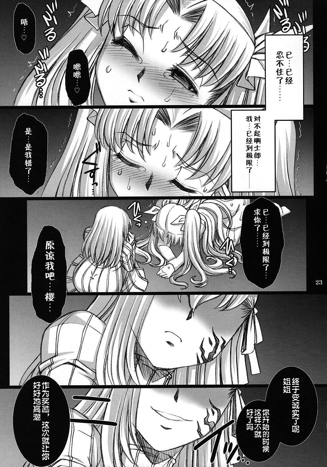 (C75) [H.B (B-RIVER)] Red Degeneration -DAY/4- (Fate/stay night) [Chinese] [不咕鸟汉化组] page 22 full