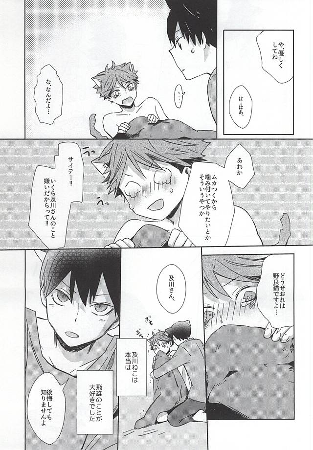 (RTS!!5) [Shounen-H (Yuuki)] Neko ni Natta Oikawa-san (Haikyuu!!) page 20 full