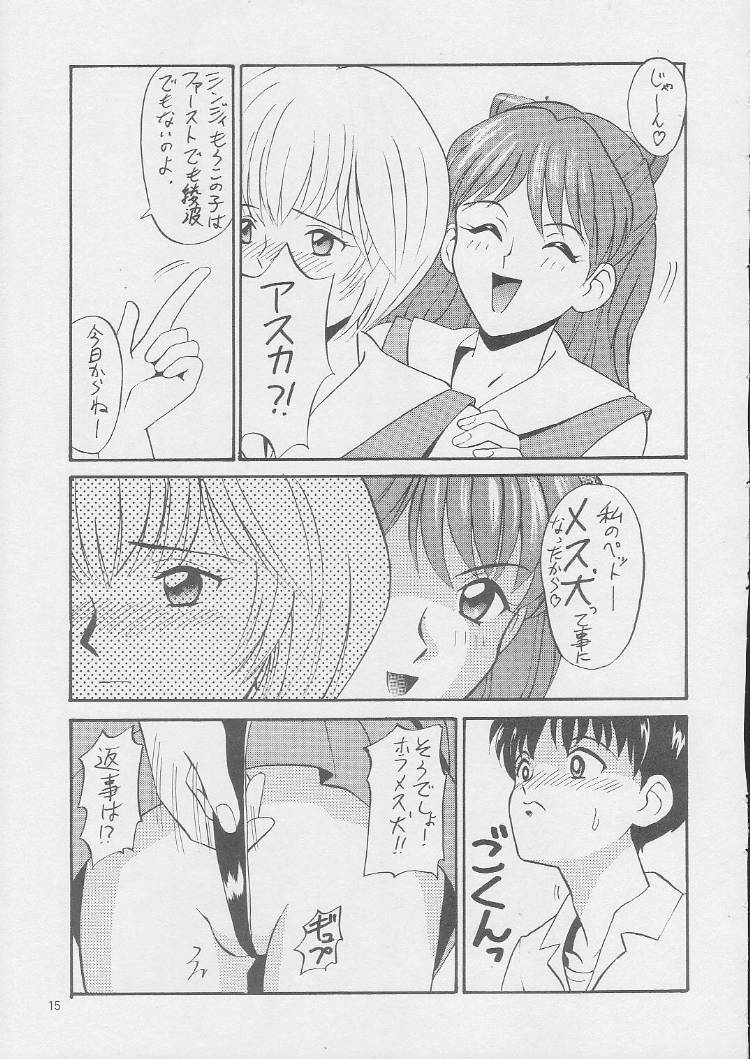 (C49) [Tsuchinoko Kyoukai (Tsunoda Saburoo, Kouenji Marimo, Makise Rihoko)] Ayanami Gehin (Neon Genesis Evangelion) page 14 full