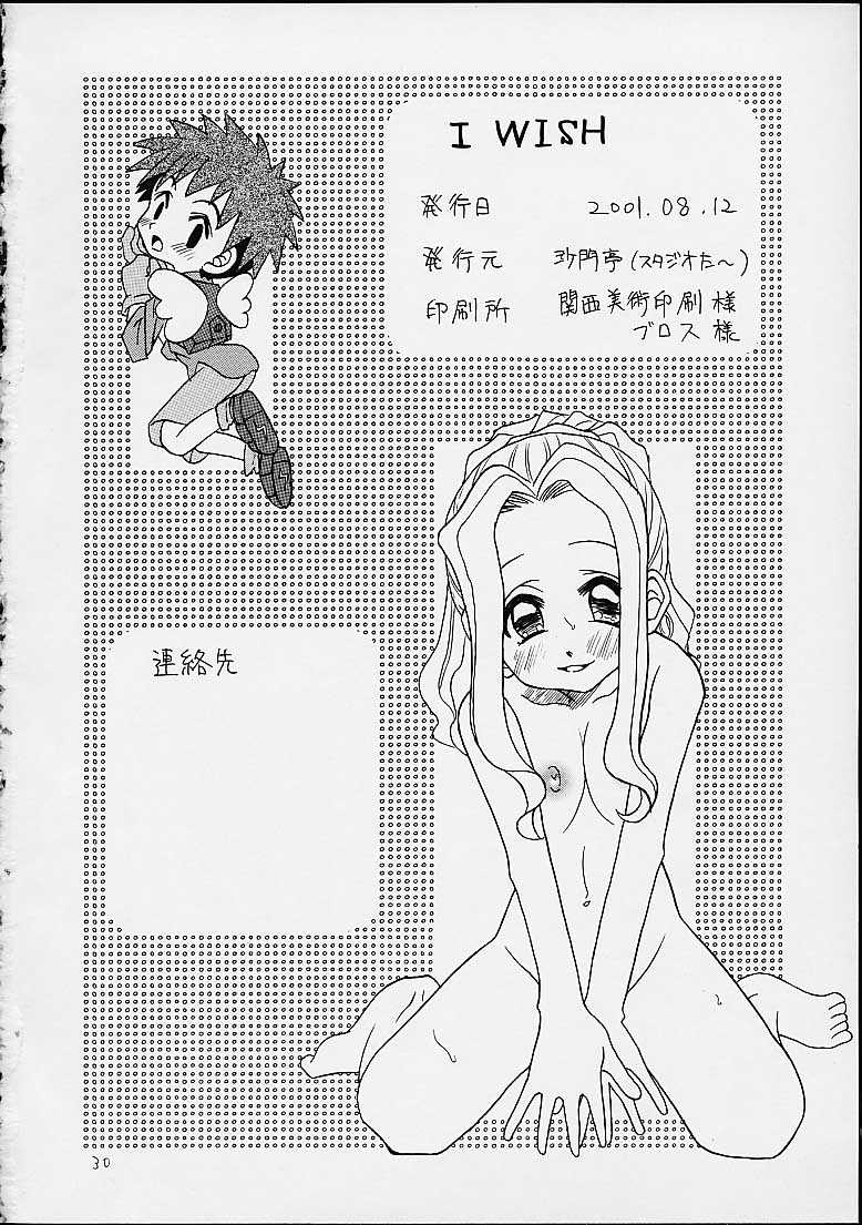(C58)[Shamontei (Shamon)] I WISH (Digimon Adventure) page 29 full