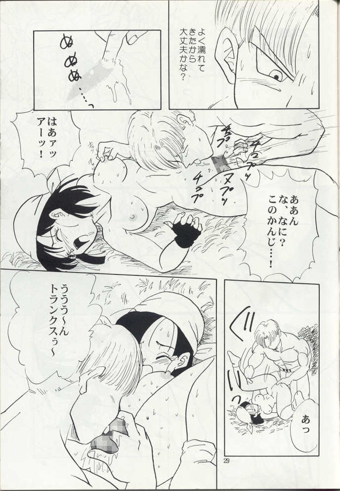 (C50) [Chirigami Goya, Fusuma go Ten (Shouji Hariko)] ZZ (Dragon Ball Z) page 29 full