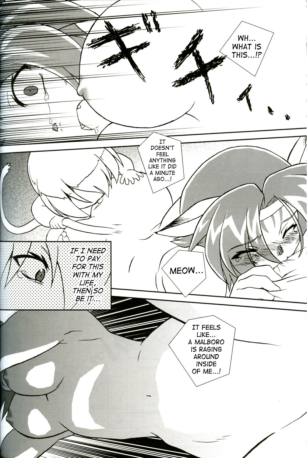 (C68) [Credit (Akikan)] Misuran Taru Taru (Final Fantasy XI) [English] [SaHa] page 19 full