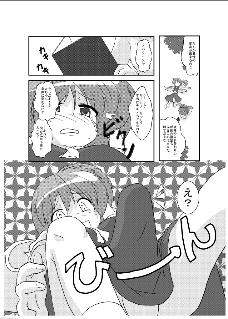 [Ameshoo (Mikaduki Neko)] Touhou TS Monogatari ~Cirno hen~ (Touhou Project) [Digital] page 19 full